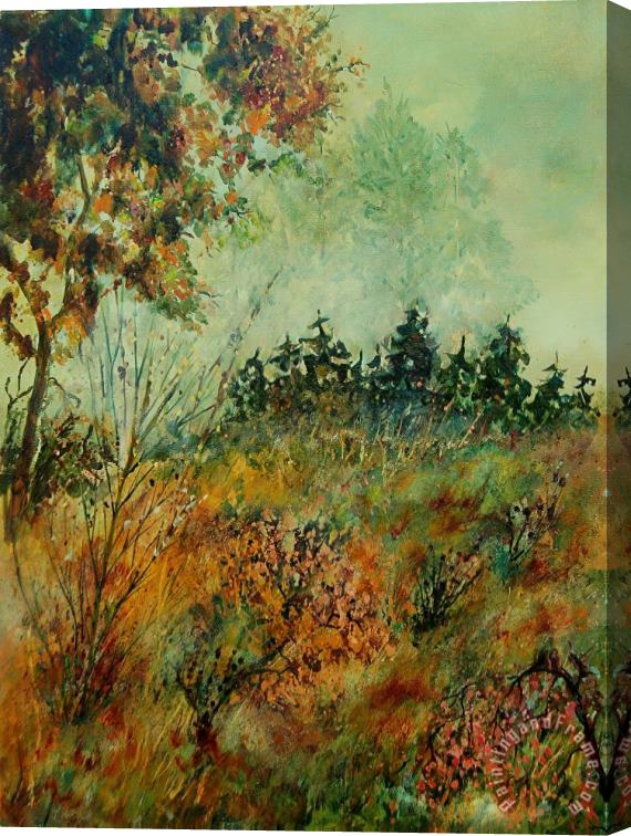 Pol Ledent Autumn mist 68 Stretched Canvas Print / Canvas Art