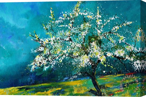 Pol Ledent Blooming appletree Stretched Canvas Painting / Canvas Art