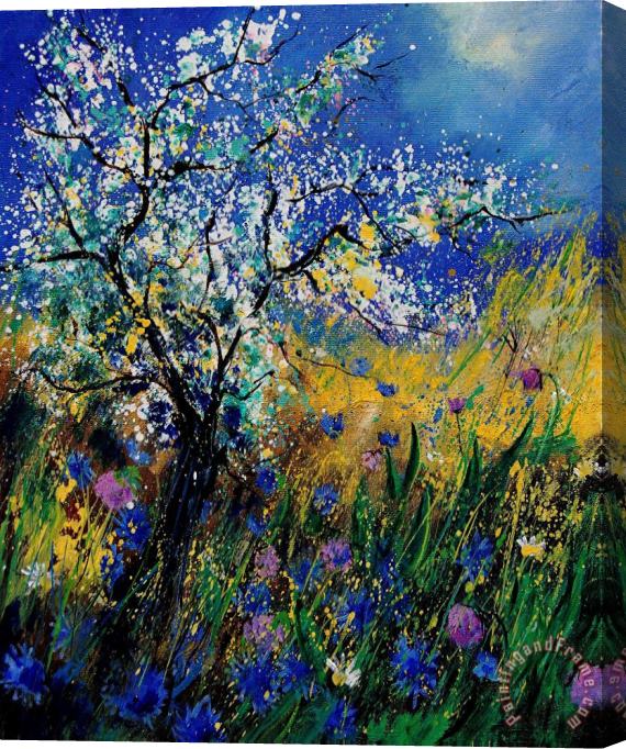 Pol Ledent Blooming appletree Stretched Canvas Print / Canvas Art