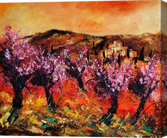 Pol Ledent Blooming cherry trees Stretched Canvas Print / Canvas Art