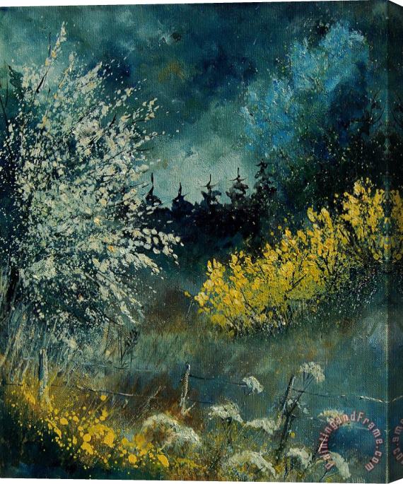Pol Ledent Brooms shrubs Stretched Canvas Painting / Canvas Art