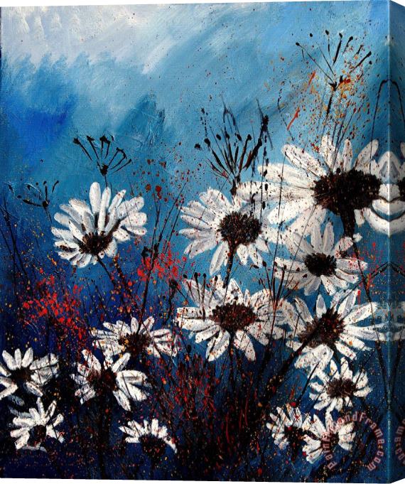 Pol Ledent Daisies 59060 Stretched Canvas Painting / Canvas Art