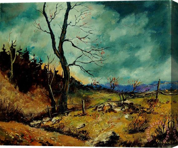 Pol Ledent Fall landscape 56 Stretched Canvas Print / Canvas Art