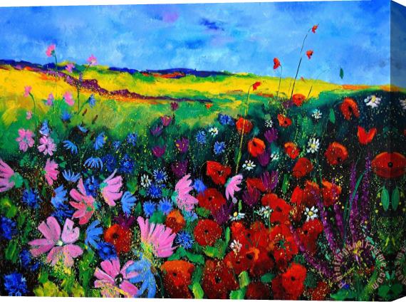 Pol Ledent Field flowers Stretched Canvas Print / Canvas Art