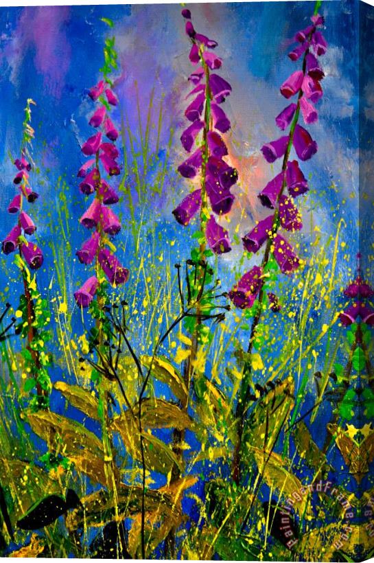 Pol Ledent Fox gloves Stretched Canvas Painting / Canvas Art