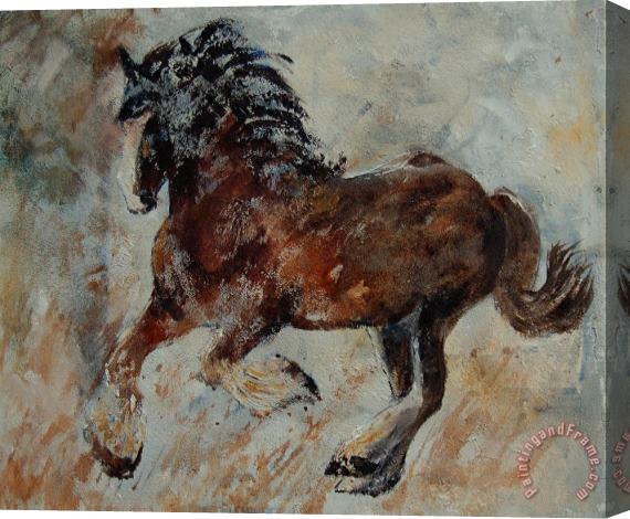 Pol Ledent Horse 561 Stretched Canvas Print / Canvas Art