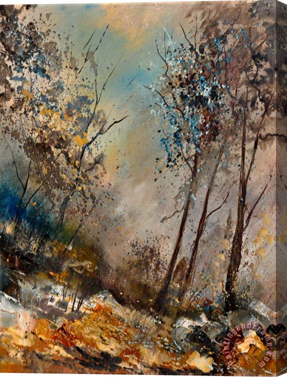 Pol Ledent In The Wood 451180 Stretched Canvas Print / Canvas Art