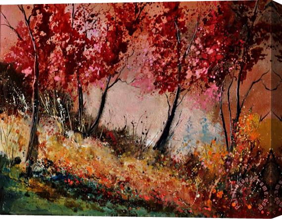 Pol Ledent In the wood 451190 Stretched Canvas Print / Canvas Art