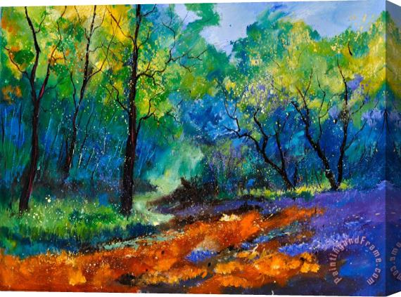 Pol Ledent Magic forest 79 Stretched Canvas Print / Canvas Art