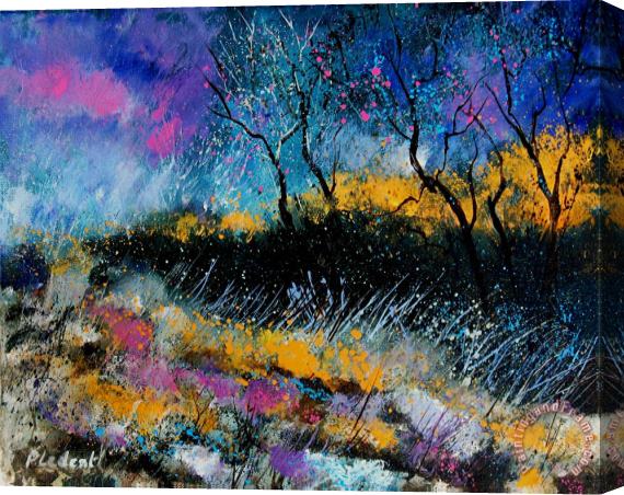 Pol Ledent Magic Morning Light Stretched Canvas Painting / Canvas Art