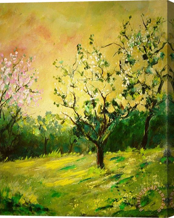 Pol Ledent Orchard 45 Stretched Canvas Painting / Canvas Art