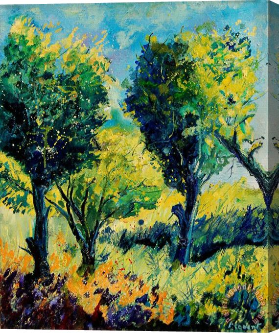 Pol Ledent Orchard 562 Stretched Canvas Painting / Canvas Art