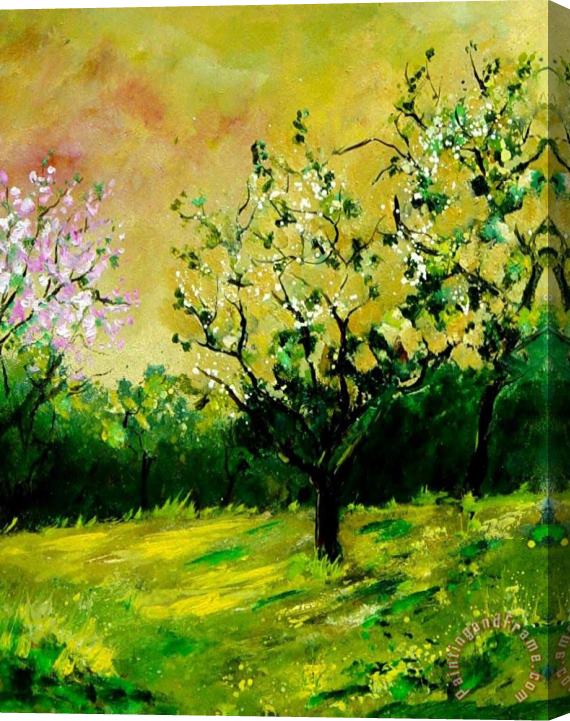 Pol Ledent Orchard Stretched Canvas Painting / Canvas Art
