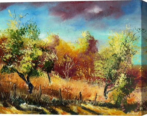 Pol Ledent Orchard Stretched Canvas Painting / Canvas Art