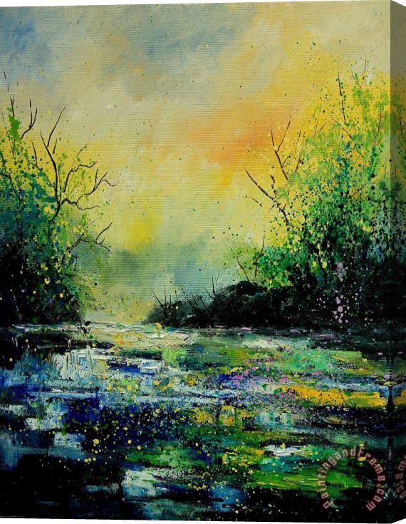 Pol Ledent Pond 459060 Stretched Canvas Painting / Canvas Art