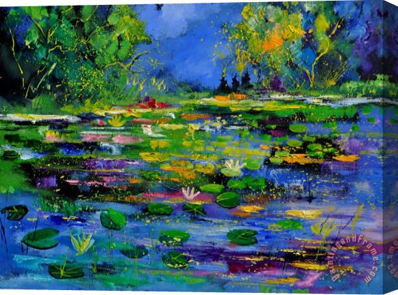 Pol Ledent Pond 791180 Stretched Canvas Print / Canvas Art