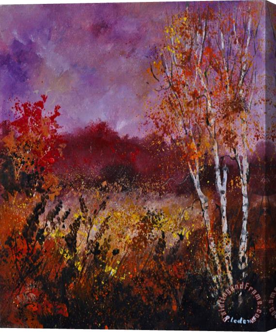 Pol Ledent Poplars in autumn Stretched Canvas Print / Canvas Art