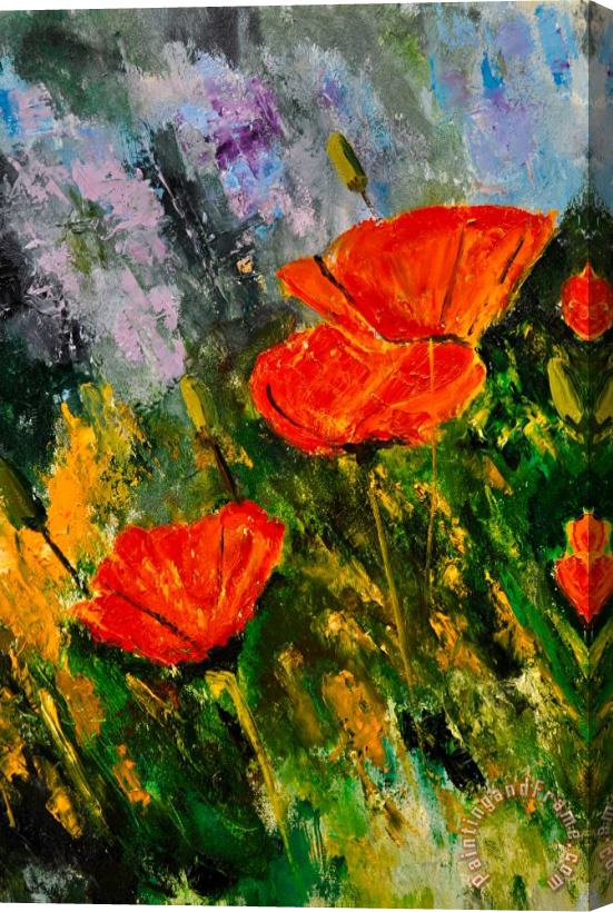 Pol Ledent Poppies 107 Stretched Canvas Print / Canvas Art