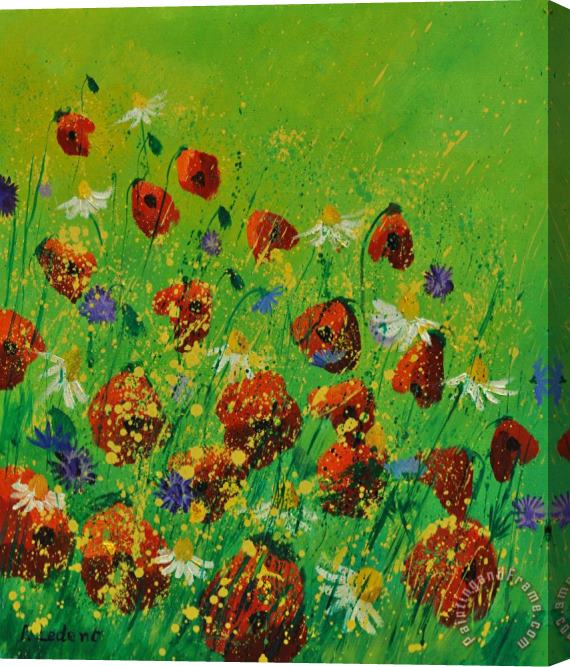 Pol Ledent Poppies 670170 Stretched Canvas Print / Canvas Art
