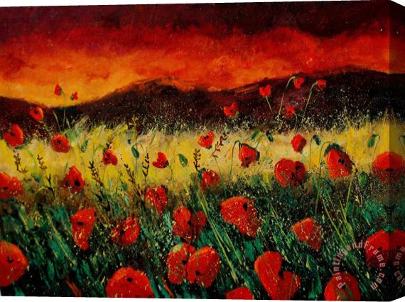 Pol Ledent Poppies 68 Stretched Canvas Painting / Canvas Art
