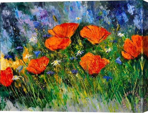 Pol Ledent Poppies 79 Stretched Canvas Painting / Canvas Art