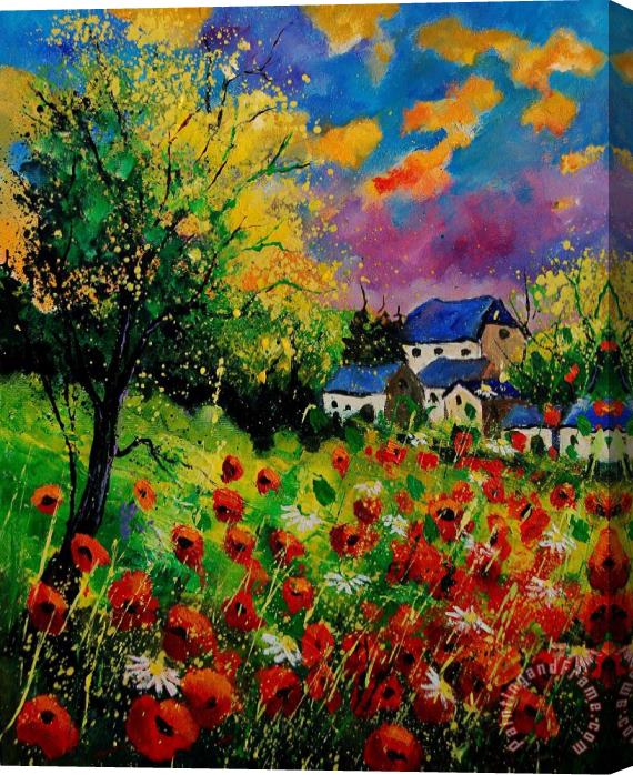 Pol Ledent Poppies and daisies 560110 Stretched Canvas Painting / Canvas Art