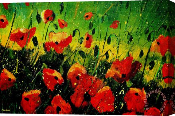Pol Ledent Poppies Poppies Stretched Canvas Print / Canvas Art