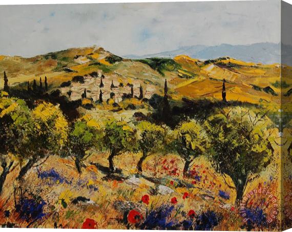Pol Ledent Provence 10080 Stretched Canvas Print / Canvas Art
