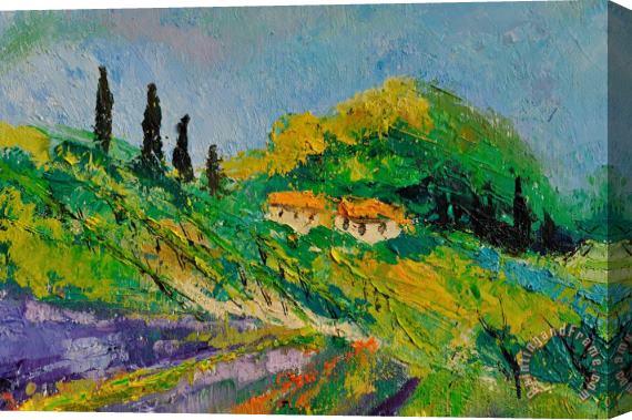 Pol Ledent Provence 4831 Stretched Canvas Print / Canvas Art