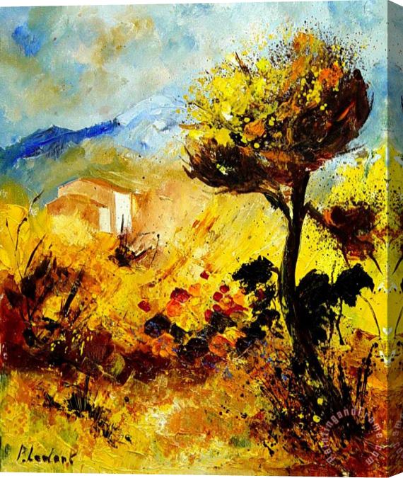 Pol Ledent Provence 56 Stretched Canvas Print / Canvas Art
