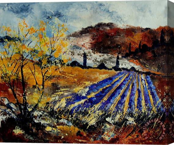 Pol Ledent Provence 564578 Stretched Canvas Painting / Canvas Art