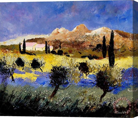 Pol Ledent Provence 674525 Stretched Canvas Painting / Canvas Art