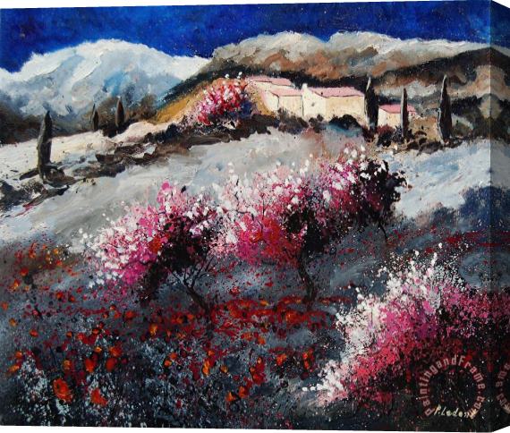 Pol Ledent Provence 675458 Stretched Canvas Painting / Canvas Art