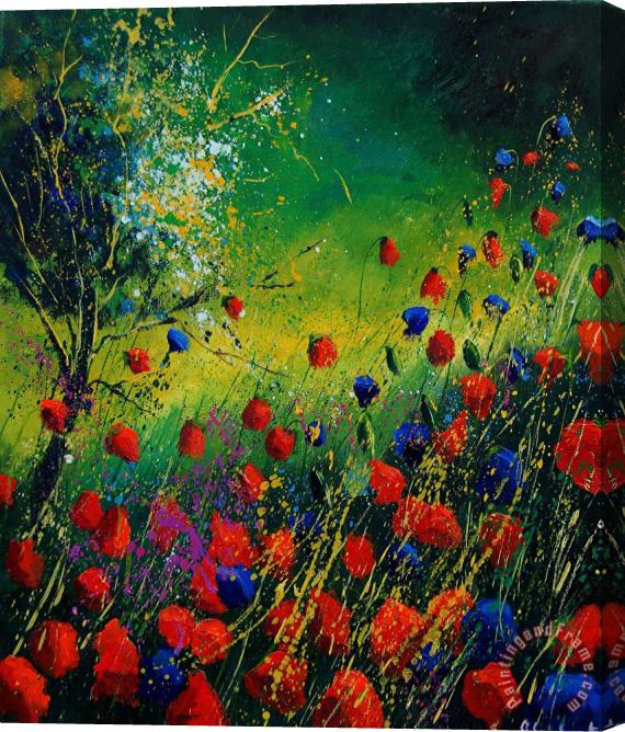 Pol Ledent Red And Blue Poppies 67 1524 Stretched Canvas Print / Canvas Art