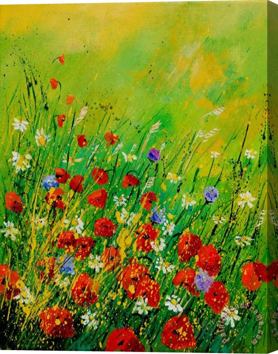 Pol Ledent Red Poppies 450708 Stretched Canvas Print / Canvas Art