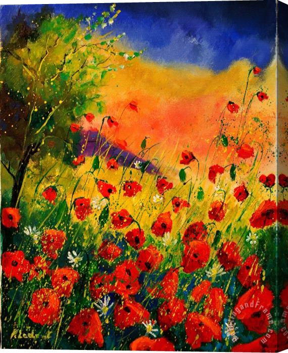 Pol Ledent Red Poppies 451 Stretched Canvas Painting / Canvas Art