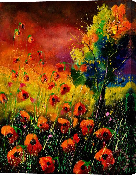 Pol Ledent Red Poppies 451130 Stretched Canvas Print / Canvas Art