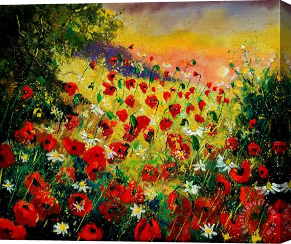 Pol Ledent Red poppies Stretched Canvas Print / Canvas Art