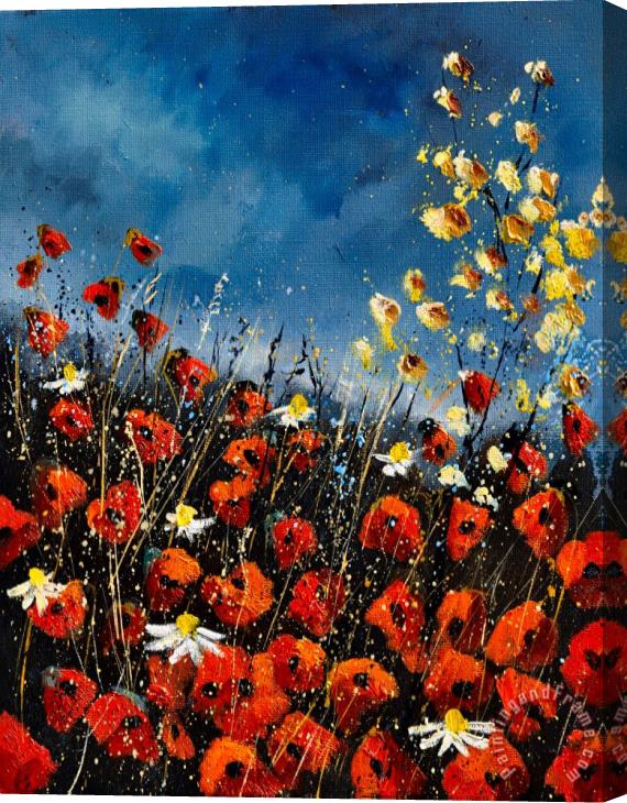 Pol Ledent Red Poppies451140 Stretched Canvas Painting / Canvas Art
