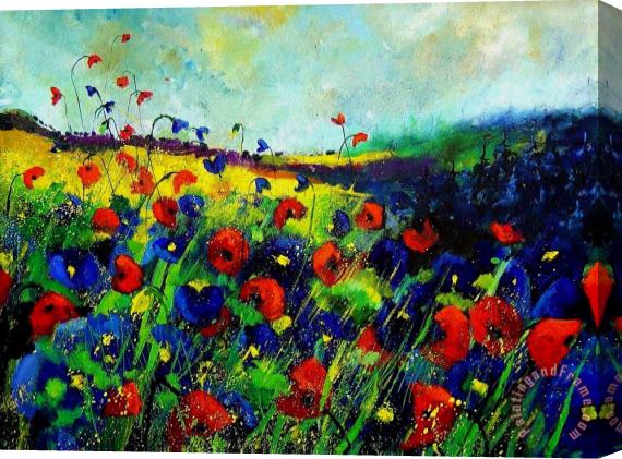 Pol Ledent Reda nd blue poppies 68 Stretched Canvas Print / Canvas Art