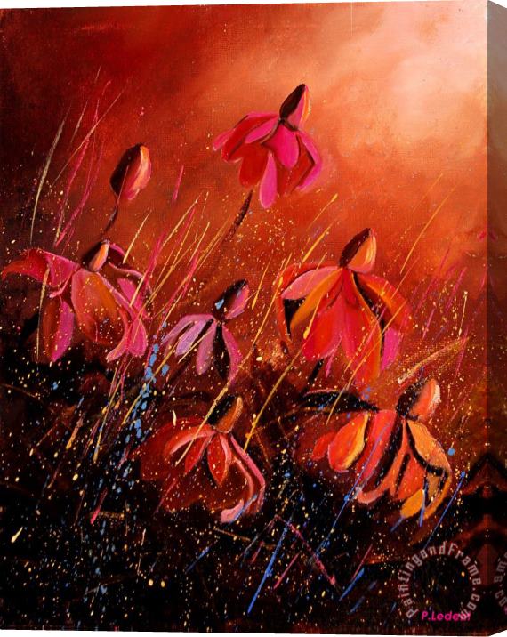 Pol Ledent Rudbeckia's 45 Stretched Canvas Painting / Canvas Art