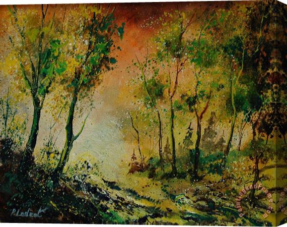 Pol Ledent Sprin In Wood 45 Stretched Canvas Print / Canvas Art