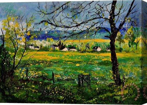 Pol Ledent Spring in Herock Stretched Canvas Print / Canvas Art
