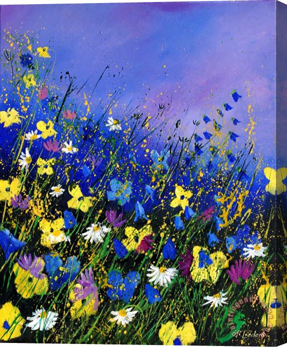 Pol Ledent Wild flowers 560908 Stretched Canvas Print / Canvas Art