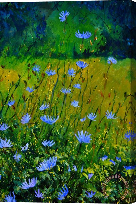 Pol Ledent Wild Flowers 911 Stretched Canvas Painting / Canvas Art