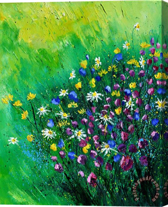 Pol Ledent Wild Flowers Stretched Canvas Print / Canvas Art