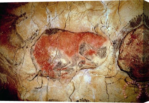 Prehistoric Bison from the Altamira Caves Stretched Canvas Painting / Canvas Art