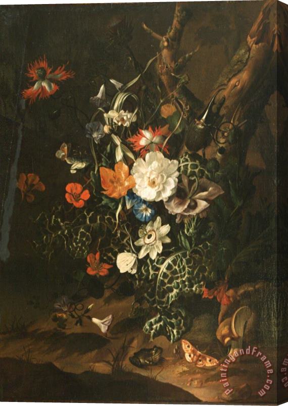 Rachel Ruysch A Sylvan Scene with Flowers Stretched Canvas Print / Canvas Art