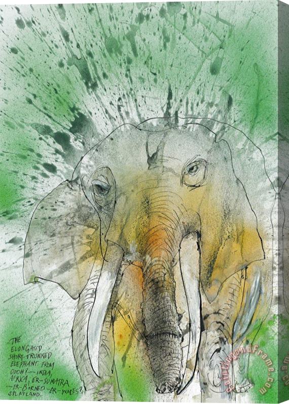 Ralph Steadman African Asian Elephant, 2017 Stretched Canvas Print / Canvas Art