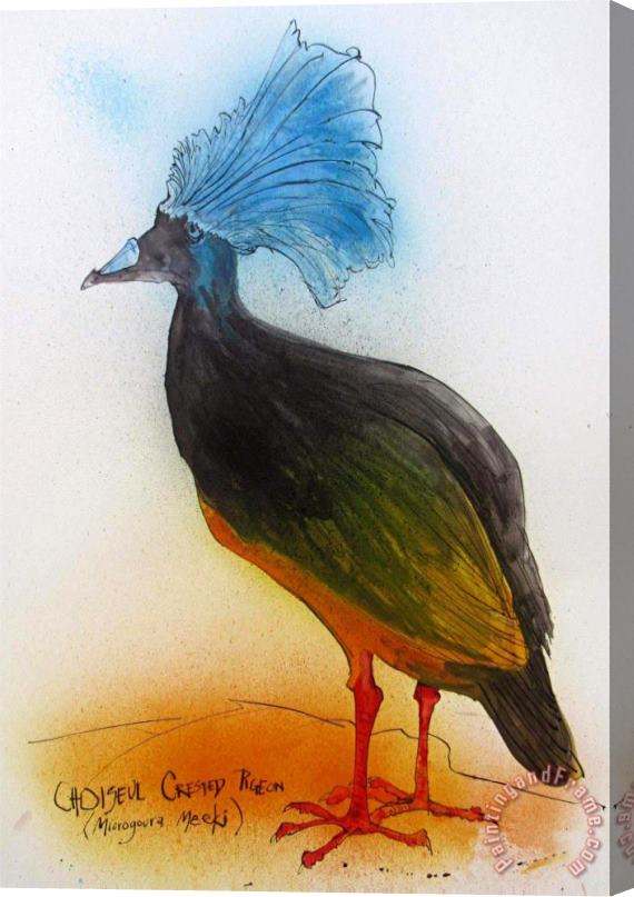Ralph Steadman Choiseul Crested Pigeon, Ca. 2021 Stretched Canvas Painting / Canvas Art